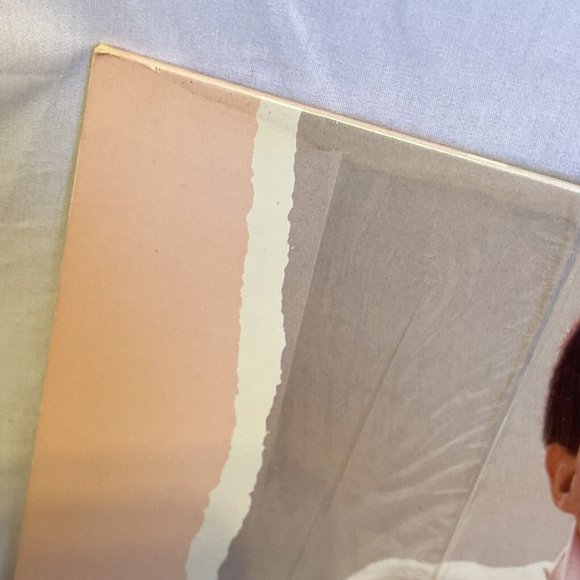 Al Jarreau Breakin' Away (Vinyl, 1981) Warner Bros Records BSK 3576 VG Album LP - Picture 4 of 11